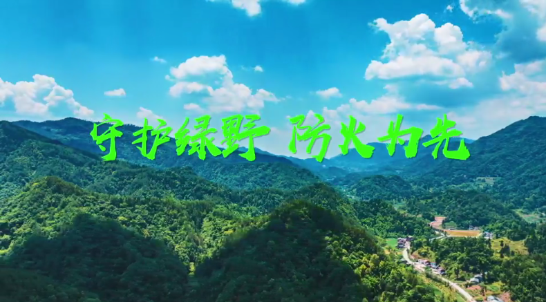 守护绿野，防火为先