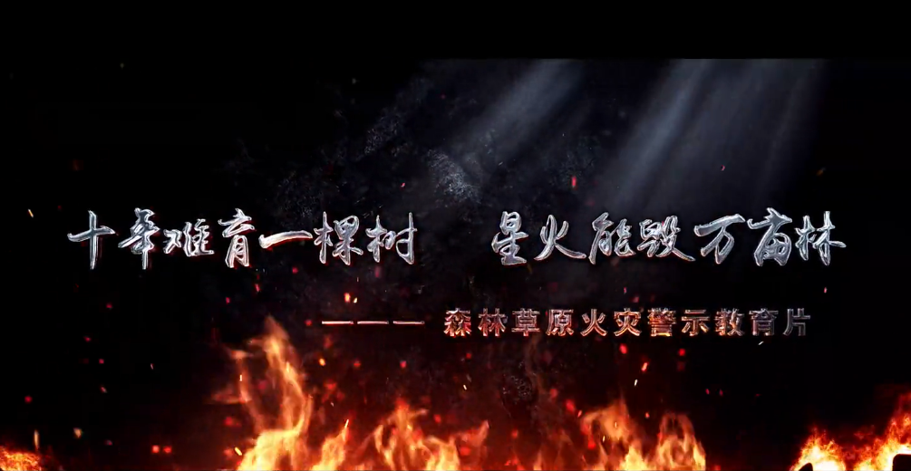 十年难育一棵树 星火能毁万亩林——森林...