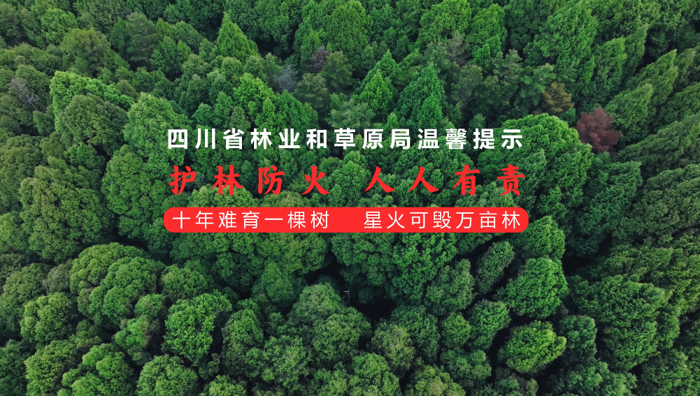 3·30警示日|跟着剑门关护林员巡山：千...