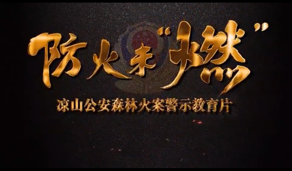 防火未“燃”—凉山公安森林火案警示教...