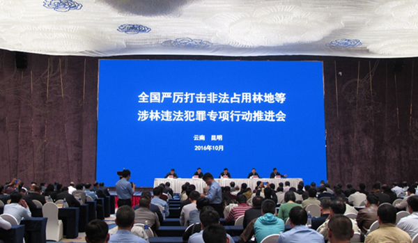 林业厅在全国严厉打击非法占用林地等涉...