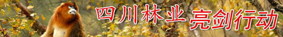 <CMSPRO_DOCUMENT FIELD='title' NUM='18'></CMSPRO_DOCUMENT>