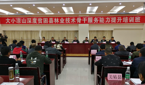 1510621119453055932.jpg 内容-1.jpg