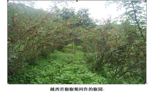 h1图片6.png