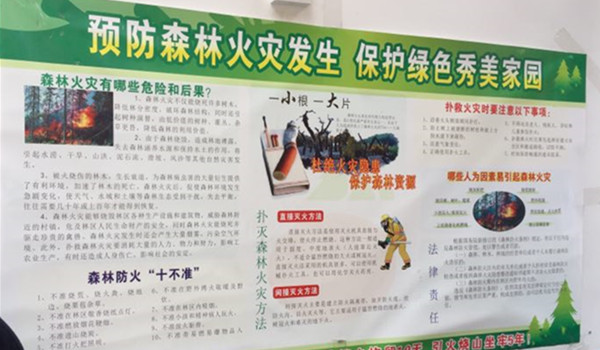 内容-4.jpg