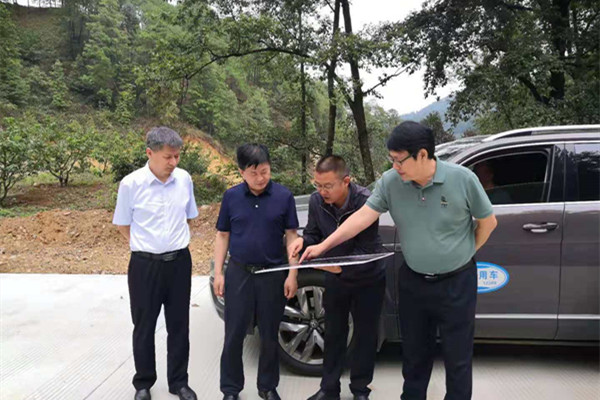 十大网络赌博网站排行调研督导攀枝花市森林草原防灭...