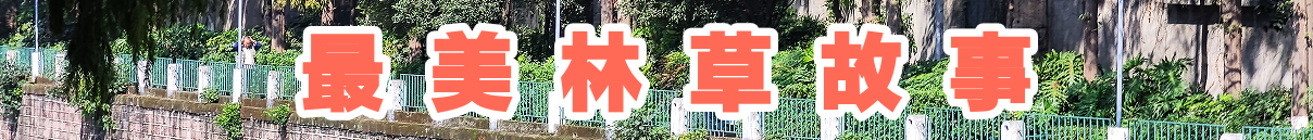 <CMSPRO_DOCUMENT FIELD='title' NUM='18'></CMSPRO_DOCUMENT>